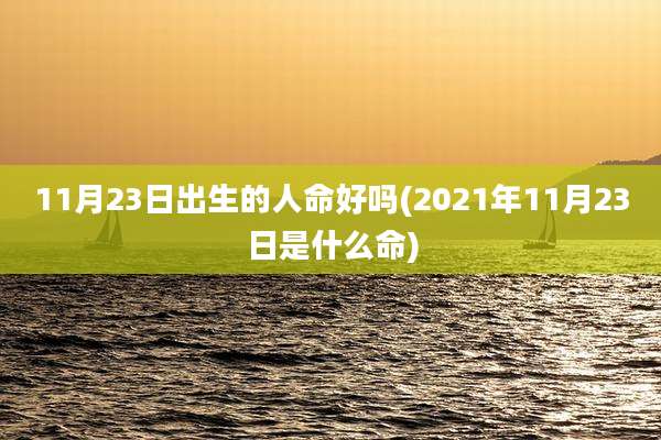 11月23日出生的人命好吗(2021年11月23日是什么命)