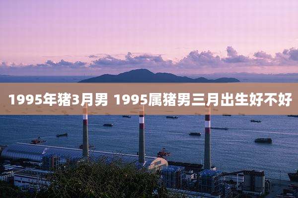 1995年猪3月男 1995属猪男三月出生好不好