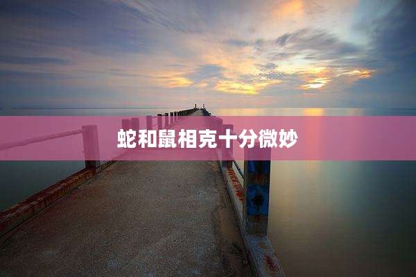 蛇和鼠相克十分微妙