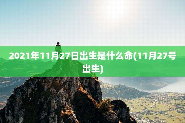 2021年11月27日出生是什么命(11月27号出生)