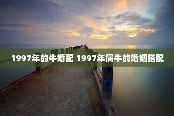 1997年的牛婚配 1997年属牛的婚姻搭配