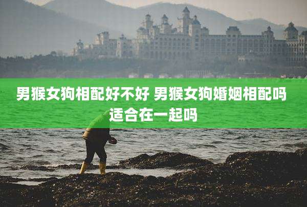 男猴女狗相配好不好 男猴女狗婚姻相配吗 适合在一起吗