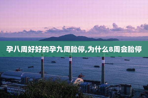 孕八周好好的孕九周胎停,为什么8周会胎停