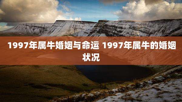 1997年属牛婚姻与命运 1997年属牛的婚姻状况