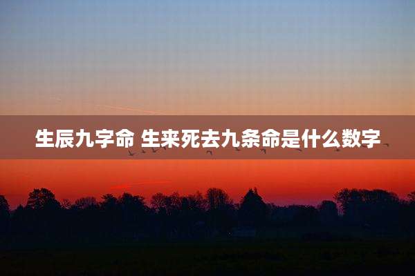 生辰九字命 生来死去九条命是什么数字