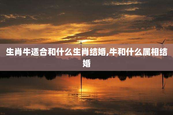 生肖牛适合和什么生肖结婚,牛和什么属相结婚