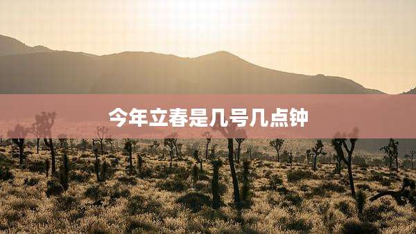 今年立春是几号几点钟