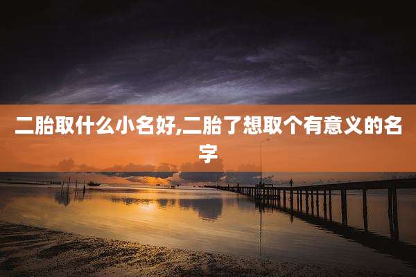 二胎取什么小名好,二胎了想取个有意义的名字