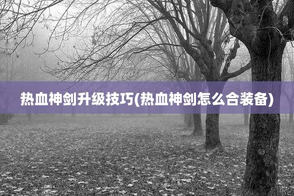 热血神剑升级技巧(热血神剑怎么合装备)
