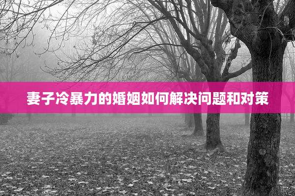 妻子冷暴力的婚姻如何解决问题和对策