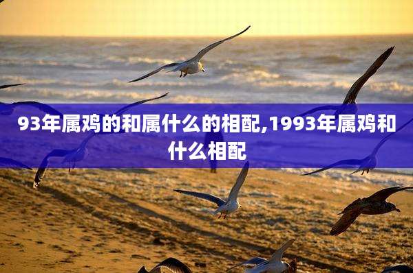 93年属鸡的和属什么的相配,1993年属鸡和什么相配