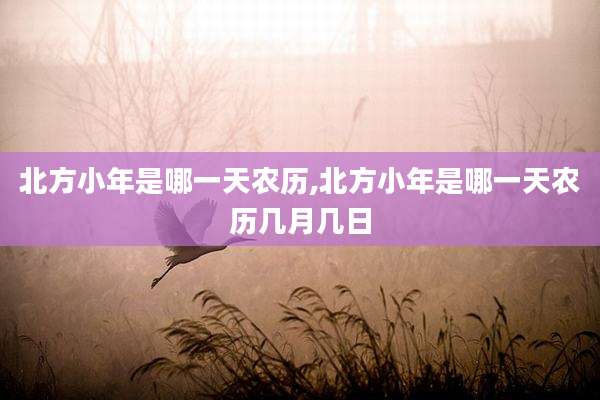 北方小年是哪一天农历,北方小年是哪一天农历几月几日