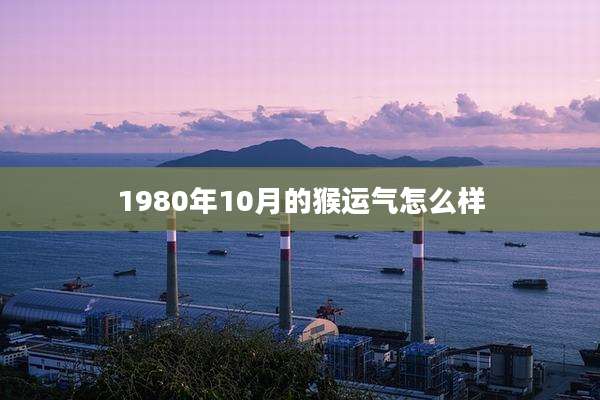 1980年10月的猴运气怎么样