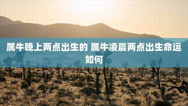 属牛晚上两点出生的 属牛凌晨两点出生命运如何