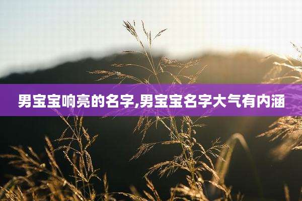 男宝宝响亮的名字,男宝宝名字大气有内涵