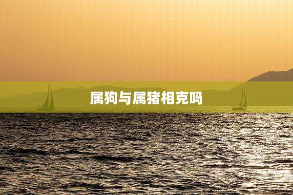 属狗与属猪相克吗
