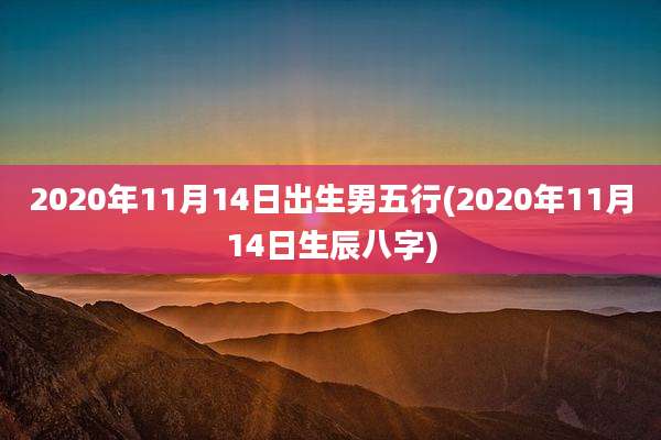 2020年11月14日出生男五行(2020年11月14日生辰八字)