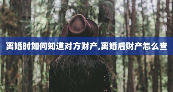 离婚时如何知道对方财产,离婚后财产怎么查