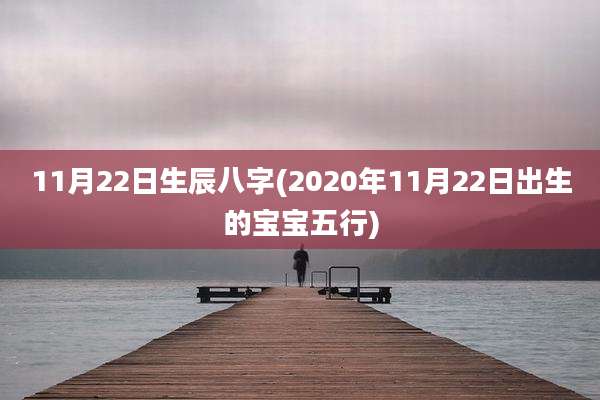 11月22日生辰八字(2020年11月22日出生的宝宝五行)