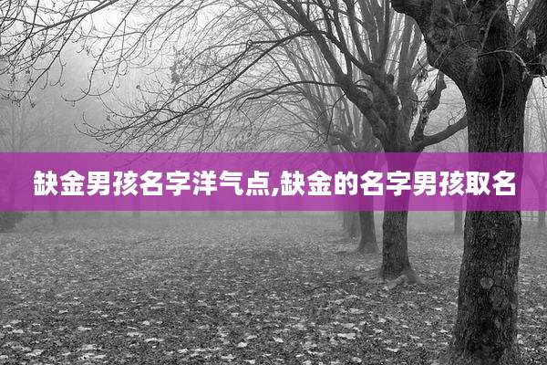 缺金男孩名字洋气点,缺金的名字男孩取名