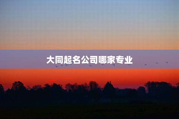 大同起名公司哪家专业