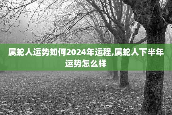 属蛇人运势如何2024年运程,属蛇人下半年运势怎么样