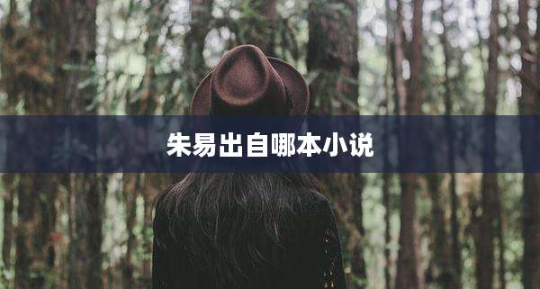 朱易出自哪本小说