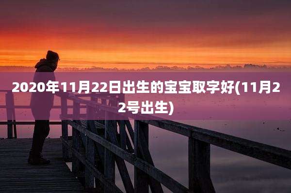 2020年11月22日出生的宝宝取字好(11月22号出生)
