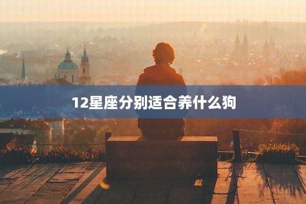 12星座分别适合养什么狗