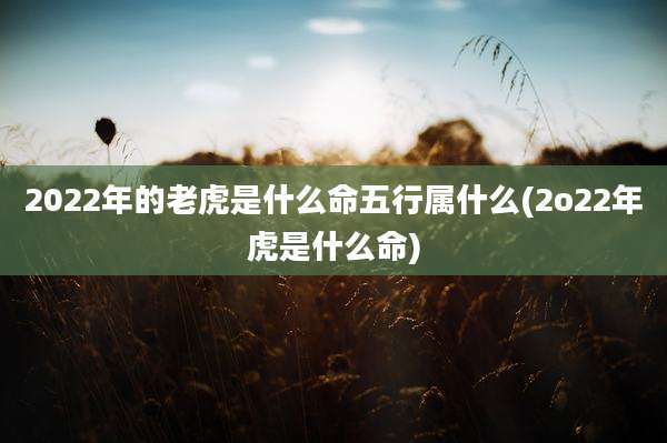 2022年的老虎是什么命五行属什么(2o22年虎是什么命)