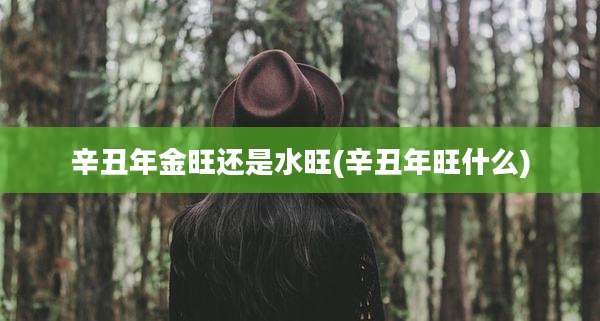 辛丑年金旺还是水旺(辛丑年旺什么)