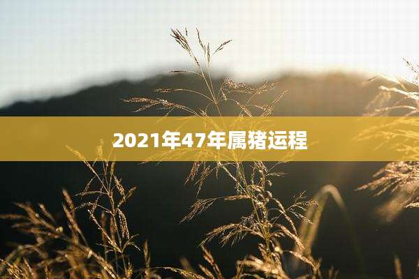 2021年47年属猪运程