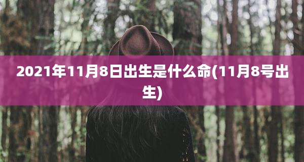 2021年11月8日出生是什么命(11月8号出生)