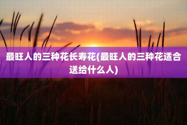 最旺人的三种花长寿花(最旺人的三种花适合送给什么人)