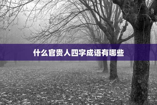 什么官贵人四字成语有哪些