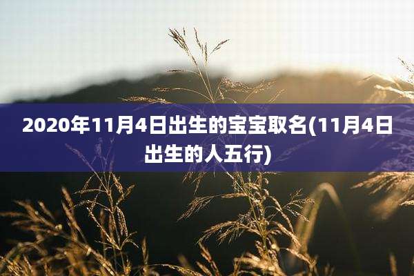 2020年11月4日出生的宝宝取名(11月4日出生的人五行)