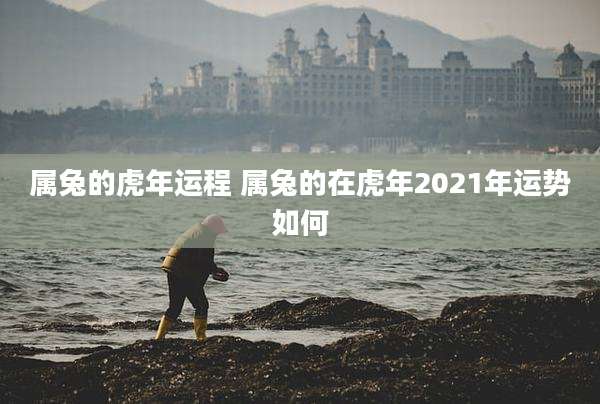 属兔的虎年运程 属兔的在虎年2021年运势如何
