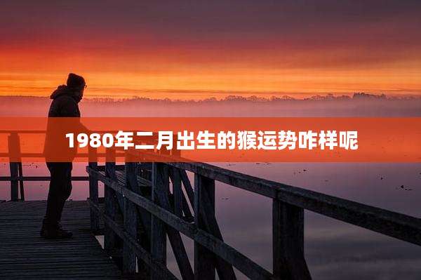 1980年二月出生的猴运势咋样呢