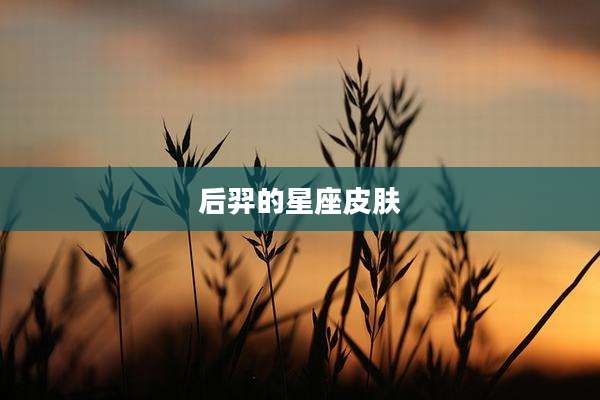 后羿的星座皮肤