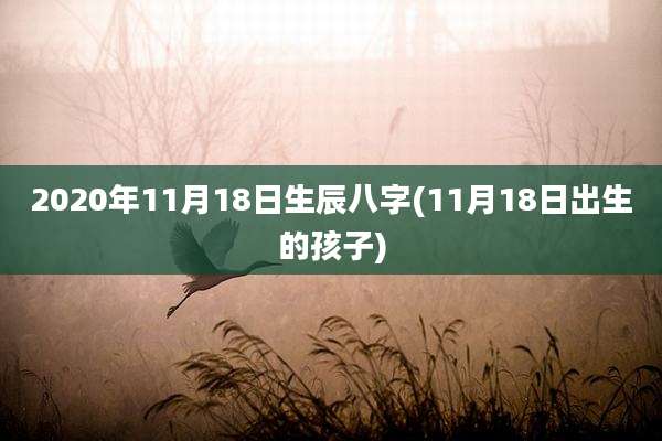 2020年11月18日生辰八字(11月18日出生的孩子)