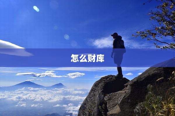 怎么财库