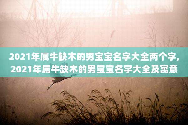 2021年属牛缺木的男宝宝名字大全两个字,2021年属牛缺木的男宝宝名字大全及寓意