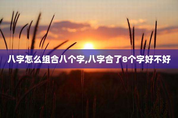 八字怎么组合八个字,八字合了8个字好不好