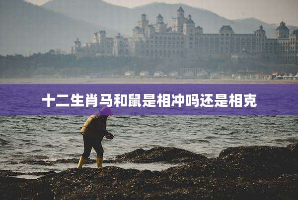 十二生肖马和鼠是相冲吗还是相克