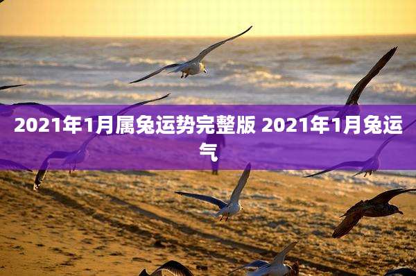 2021年1月属兔运势完整版 2021年1月兔运气