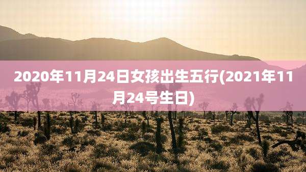 2020年11月24日女孩出生五行(2021年11月24号生日)