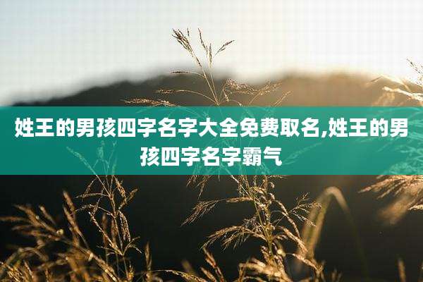 姓王的男孩四字名字大全免费取名,姓王的男孩四字名字霸气