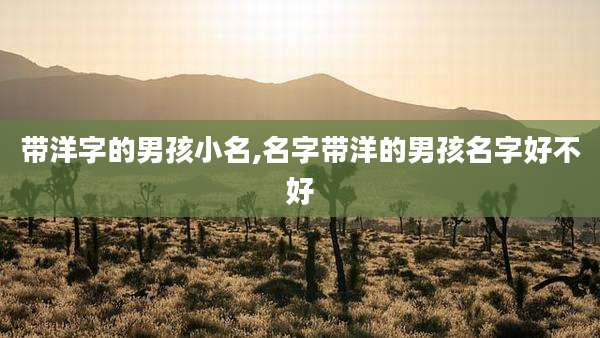 带洋字的男孩小名,名字带洋的男孩名字好不好