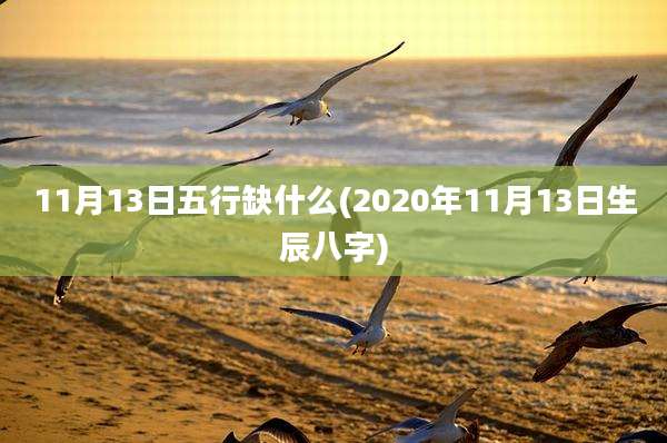 11月13日五行缺什么(2020年11月13日生辰八字)