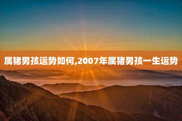 属猪男孩运势如何,2007年属猪男孩一生运势